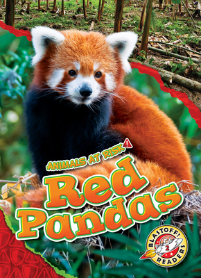 Red Pandas - Rachel Grack