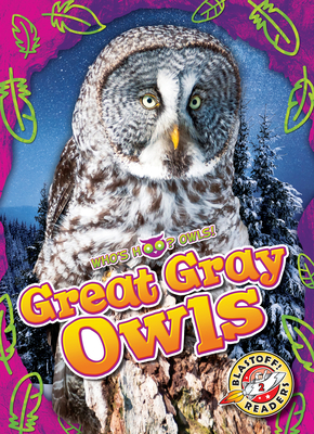 Great Gray Owls - Rachael Barnes