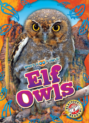 Elf Owls - Elizabeth Neuenfeldt