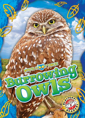 Burrowing Owls - Rachael Barnes