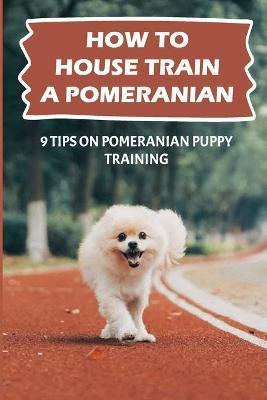 How To House Train A Pomeranian: 9 Tips On Pomeranian Puppy Training: Pomeranian Training Age - Breanna Bryden