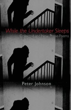 Coperta cărții 'While the Undertaker Sleeps - Peter Johnson'