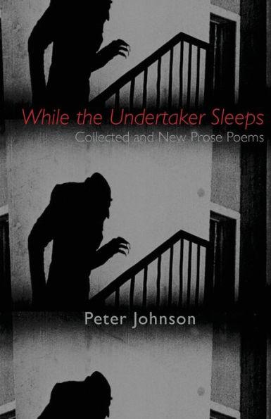 While the Undertaker Sleeps - Peter Johnson