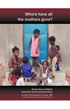 Coperta cărții 'Where Have All the Mothers Gone? Stories of Courage and Hope During Childbirth Among the World's Poorest Women - Jean'