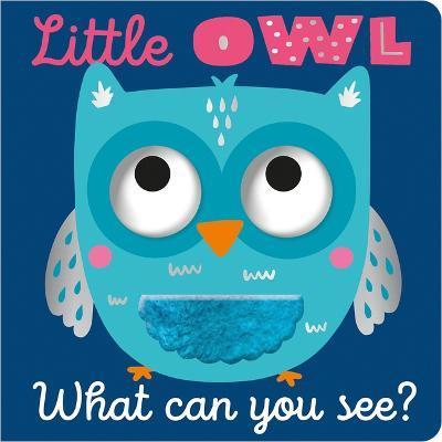 Little Owl What Can You See? - Cara Jenkins
