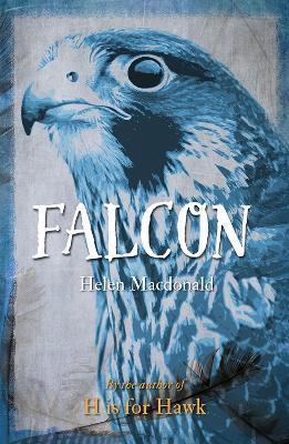 Falcon - Helen Macdonald