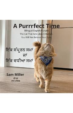 Poza produsului ਇੱਕ ਸੰਪੂਰਨ ਸਮਾਂ ਜਾਂ ਇੱਕ ਵă - Sam Miller