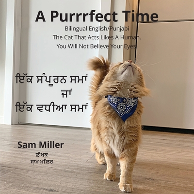 ਇੱਕ ਸੰਪੂਰਨ ਸਮਾਂ ਜਾਂ ਇੱਕ ਵă - Sam Miller