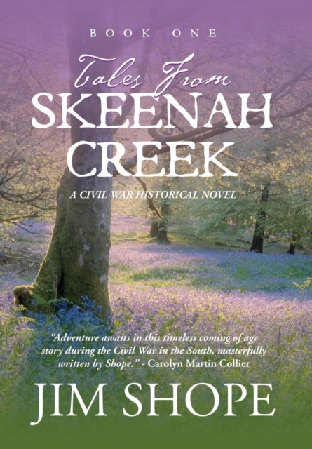 Tales From Skeenah Creek: A Civil War Historical Fiction Novel - Jim Shope