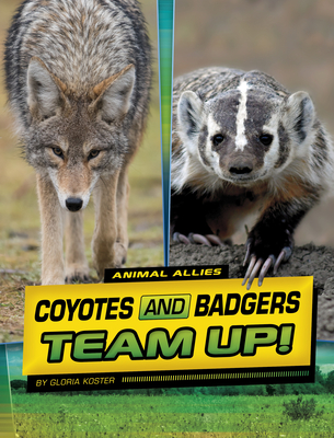 Coyotes and Badgers Team Up! - Gloria Koster