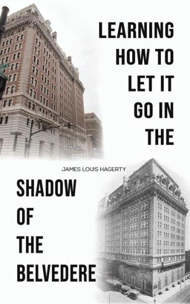 Learning How to Let It Go in the Shadow of the Belvedere - James Louis Hagerty