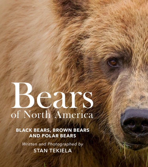 Bears of North America: Black Bears, Brown Bears, and Polar Bears - Stan Tekiela