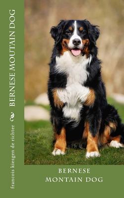 bernese moutain dog - Francois Kiesgen De Richter