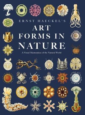 Ernst Haeckel's Art Forms in Nature: A Visual Masterpiece of the Natural World - Ernst Haeckel