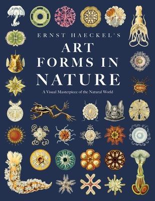 Ernst Haeckel's Art Forms in Nature: A Visual Masterpiece of the Natural World - Adolf Glitsch