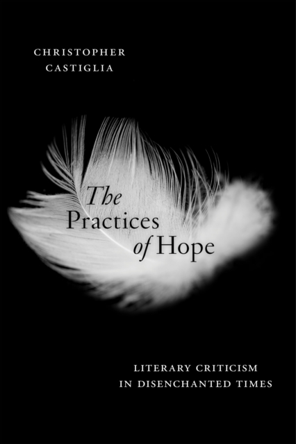 The Practices of Hope: Literary Criticism in Disenchanted Times - Christopher Castiglia