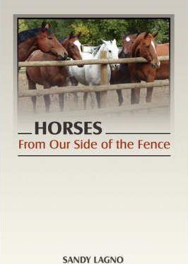 Horses: From Our Side of the Fence - Sandy Lagno