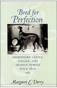 Coperta cărții 'Bred for Perfection: Shorthorn Cattle, Collies, and Arabian Horses Since 1800 - Margaret E. Derry'