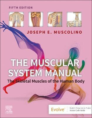 The Muscular System Manual: The Skeletal Muscles of the Human Body - Joseph E. Muscolino