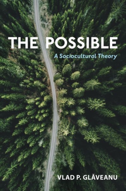 Possible: A Sociocultural Theory - Vlad P. Glăveanu