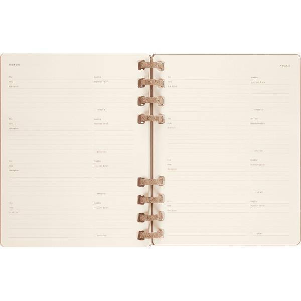 Agenda 2023-2024: Academic planner almond