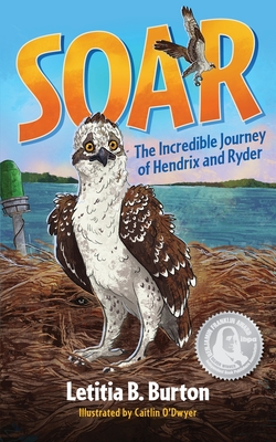 Soar: The Incredible Journey of Hendrix and Ryder - Letitia B. Burton