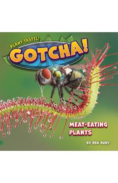 Coperta cărții 'Gotcha! - Rex Ruby'