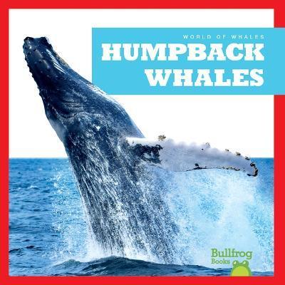 Humpback Whales - Jenna Lee Gleisner