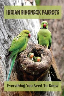 Indian Ringneck Parrots: Everything You Need To Know: Fun Facts About Indian Ringneck - Darcey Seevers