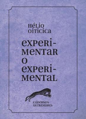 Experimentar o experimental - Hélio Oiticica