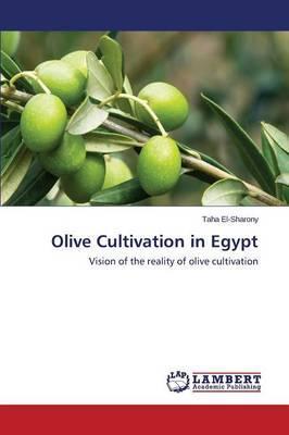 Olive Cultivation in Egypt - El-sharony Taha