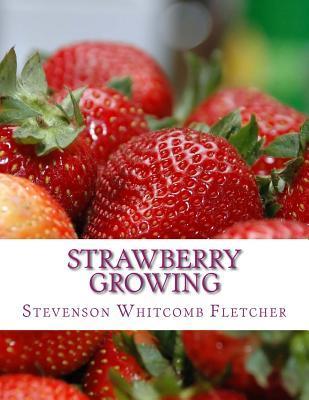 Strawberry Growing - Roger Chambers