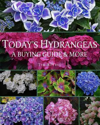 Today's Hydrangeas: A Buying Guide & More - Tim Boebel