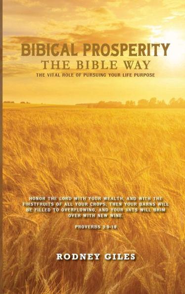 Biblical Prosperity The Bible Way - Rodney Giles