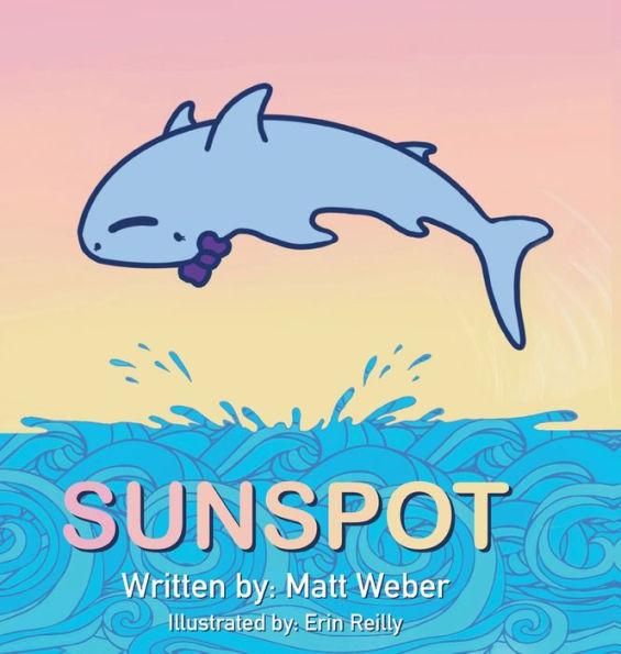 Sunspot - Matt Weber