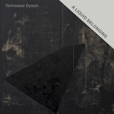 Torkwase Dyson: A Liquid Belonging - Torkwase Dyson