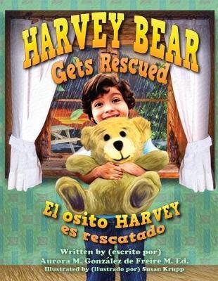 Harvey Bear Gets Rescued - Aurora Margarita González De Freire