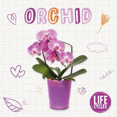 Orchid - Brenda Mchale