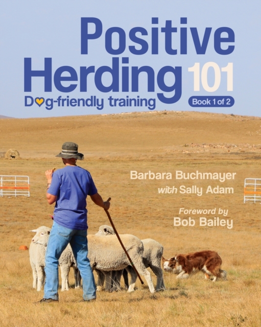 Positive Herding 101: Dog-friendly training - Barbara Buchmayer