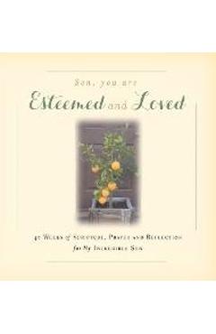 Coperta cărții 'Son, You are Esteemed and Loved: 40 Weeks of Scripture, Prayer and Reflection for My Incredible Son - Rebekah Tague'