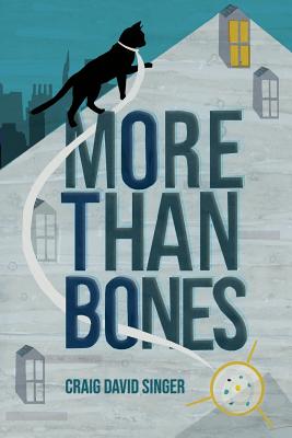 More Than Bones - Craig David Singer