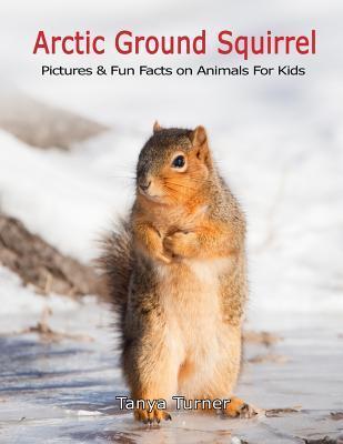 Arctic Ground Squirrel: Pictures and Fun Facts on Animals for Kids - Tanya Turner