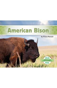 Coperta cărții 'American Bison - Grace Hansen'