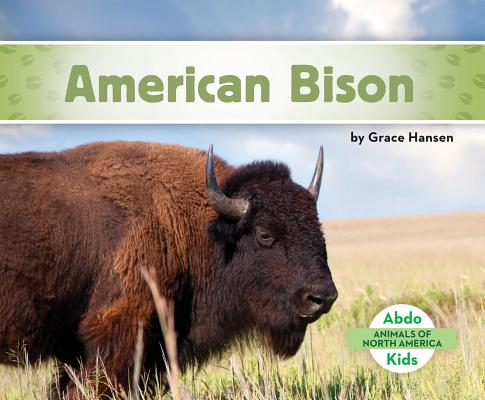 Coperta cărții 'American Bison - Grace Hansen'