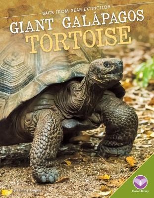 Giant Galàpagos Tortoise - Tammy Gagne