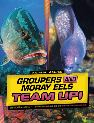 Groupers and Moray Eels Team Up! - Gloria Koster