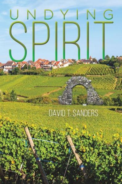 Undying Spirit - David T. Sanders