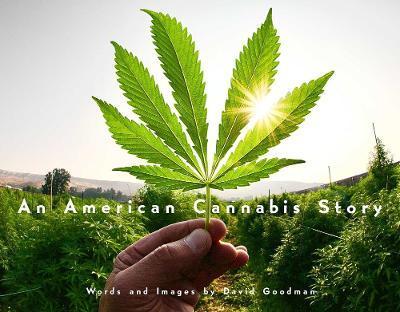 An American Cannabis Story - David Goodman
