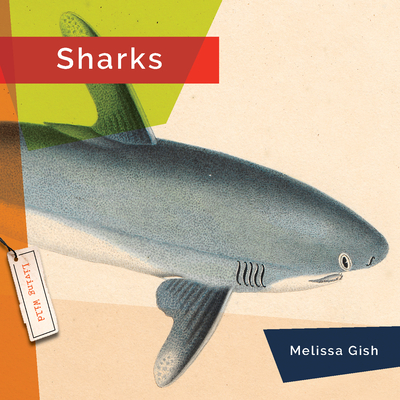 Sharks - Melissa Gish