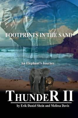 Footprints in the Sand - Erik Daniel Shein